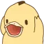 duckPog