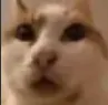C_ C_