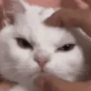 angry