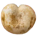heartshroom