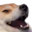 1013405818084917308