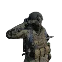 DayZSalute