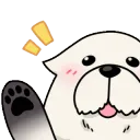 SXFBondWave_Maomao