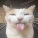 g_bleh Discord emoji
