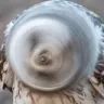 OWLSPIN