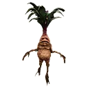 Mandrake