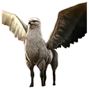 Hippogriff