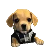 bork bork