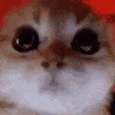 Grrr