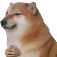 Dogewait