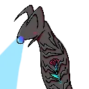 KrillGift KrillGift