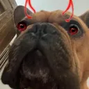 jakie_evil