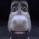 bruhtf