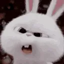 rabbitHUH rabbitHUH