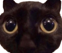 g_niceballs Discord emoji