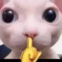 bingus
