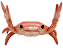 praise Discord emoji