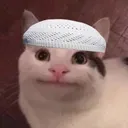 Halalcat halalcat Discord Emoji