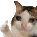 Cryingcat cryingcat Discord Emoji