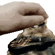 amorApache animated Discord emote | ℕ𝕖𝕜𝕠𝕟𝕚 𝕃𝕠𝕧𝕖 ℂ𝕦𝕝𝕥 🔞