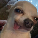 after500gs Discord emoji