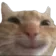 zCatGrin