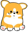 Corgo_Sad
