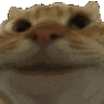 g_