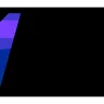 b1