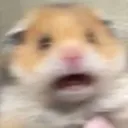 onefear