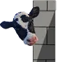 peekamoo