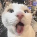 Millywoah