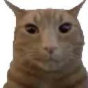 guh