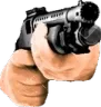 shotgun