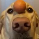 emoji_3