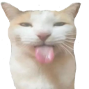 silly Discord emoji
