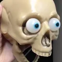skull2 skull2