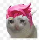 zarya_sob Discord Emoji