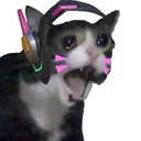 dva_sob Discord Emoji