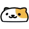 silly_cat silly_cat