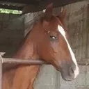 sideeye