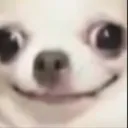 Doghehe Discord Emoji