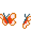 o_butterflyduo1