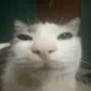 Ehehe EHEHE Discord Emoji