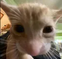 him