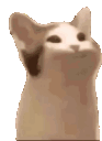 emoji_23