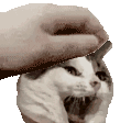 emoji_28