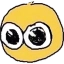 stareflip