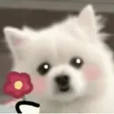 emoji_19