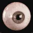 allseeingeye